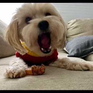 Meet your Posher, Tab